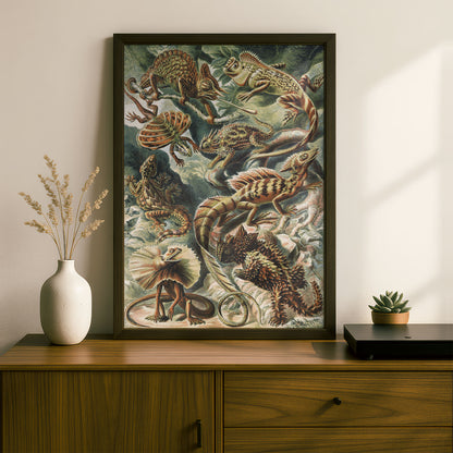 Ernst Haeckel Art Print | Plate 79: Basiliscus | Vintage Wall Art Poster