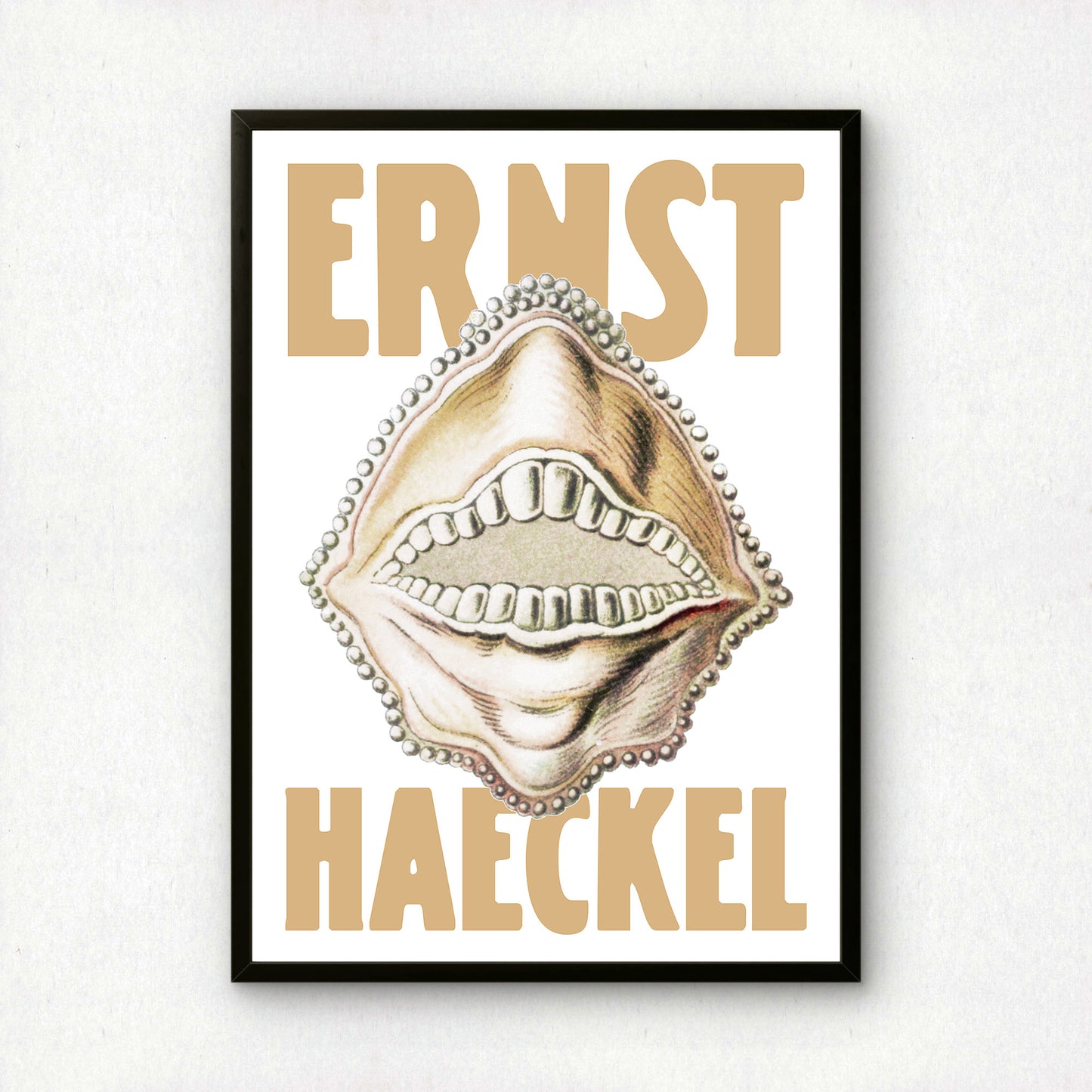 Ernst Haeckel Remixed Art Print 08 | Vintage Art Reimagined | Modern Wall Art