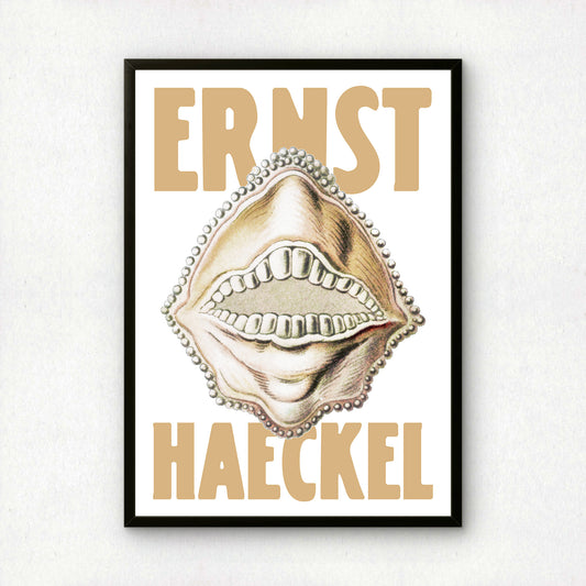 Ernst Haeckel Remixed Art Print 08 | Vintage Art Reimagined | Modern Wall Art