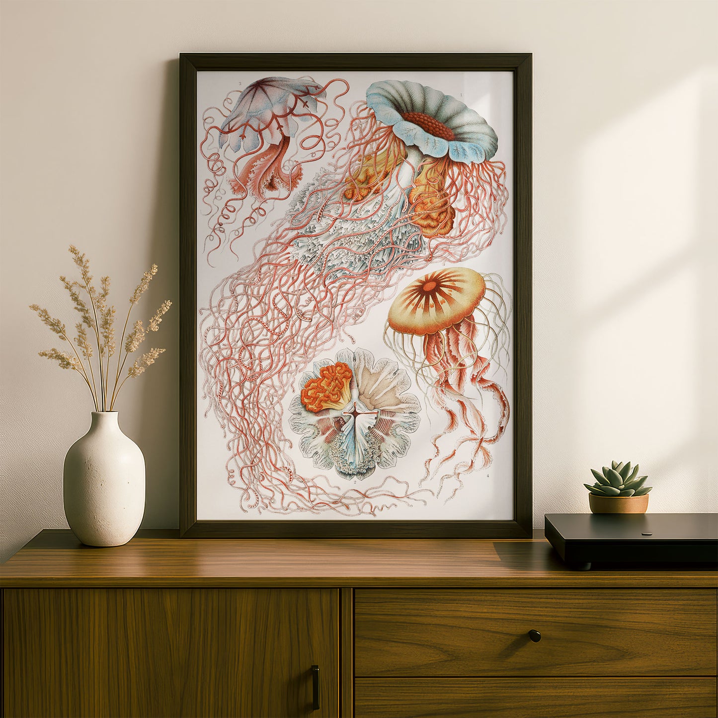 Ernst Haeckel Art Print | Plate 8: Desmonema | Vintage Wall Art Poster