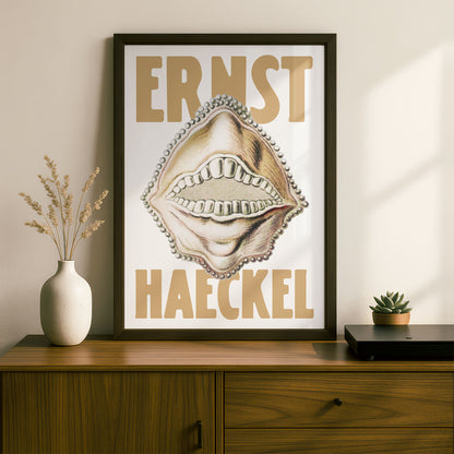 Ernst Haeckel Remixed Art Print 08 | Vintage Art Reimagined | Modern Wall Art