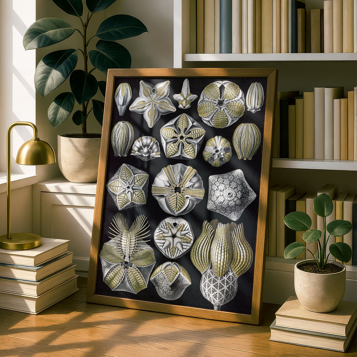 Ernst Haeckel Art Print | Plate 80: Pentremites | Vintage Wall Art Poster