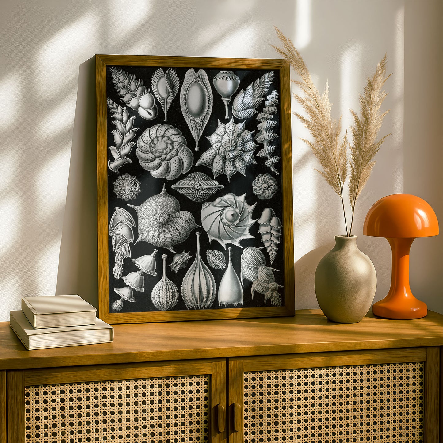 Ernst Haeckel Art Print | Plate 81: Lagena | Quality Vintage Wall Art Poster