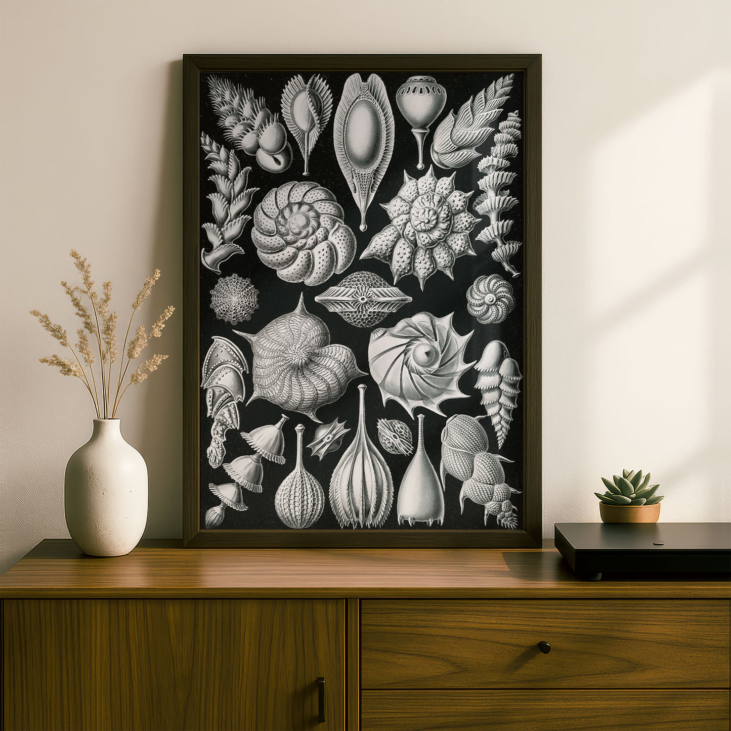 Ernst Haeckel Art Print | Plate 81: Lagena | Quality Vintage Wall Art Poster