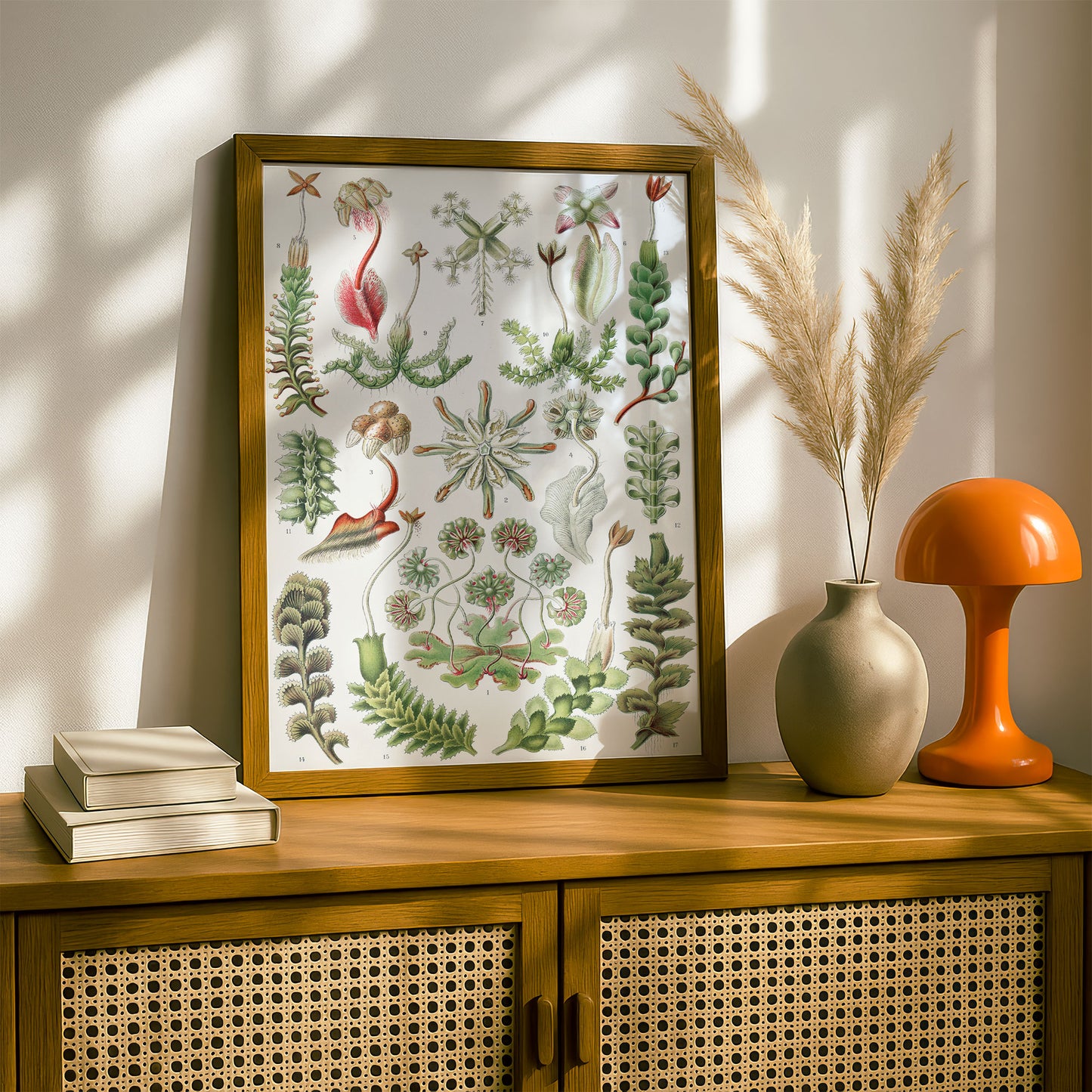 Ernst Haeckel Art Print | Plate 82: Marchantia | Vintage Wall Art Poster