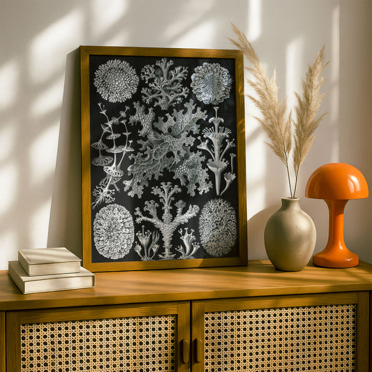 Ernst Haeckel Art Print | Plate 83: Cladonia | Vintage Wall Art Poster