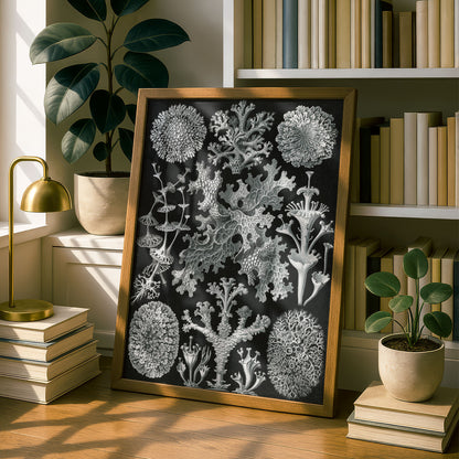 Ernst Haeckel Art Print | Plate 83: Cladonia | Vintage Wall Art Poster
