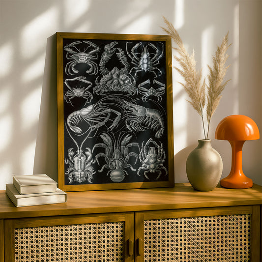 Ernst Haeckel Art Print | Plate 86: Parthenope | Vintage Wall Art Poster
