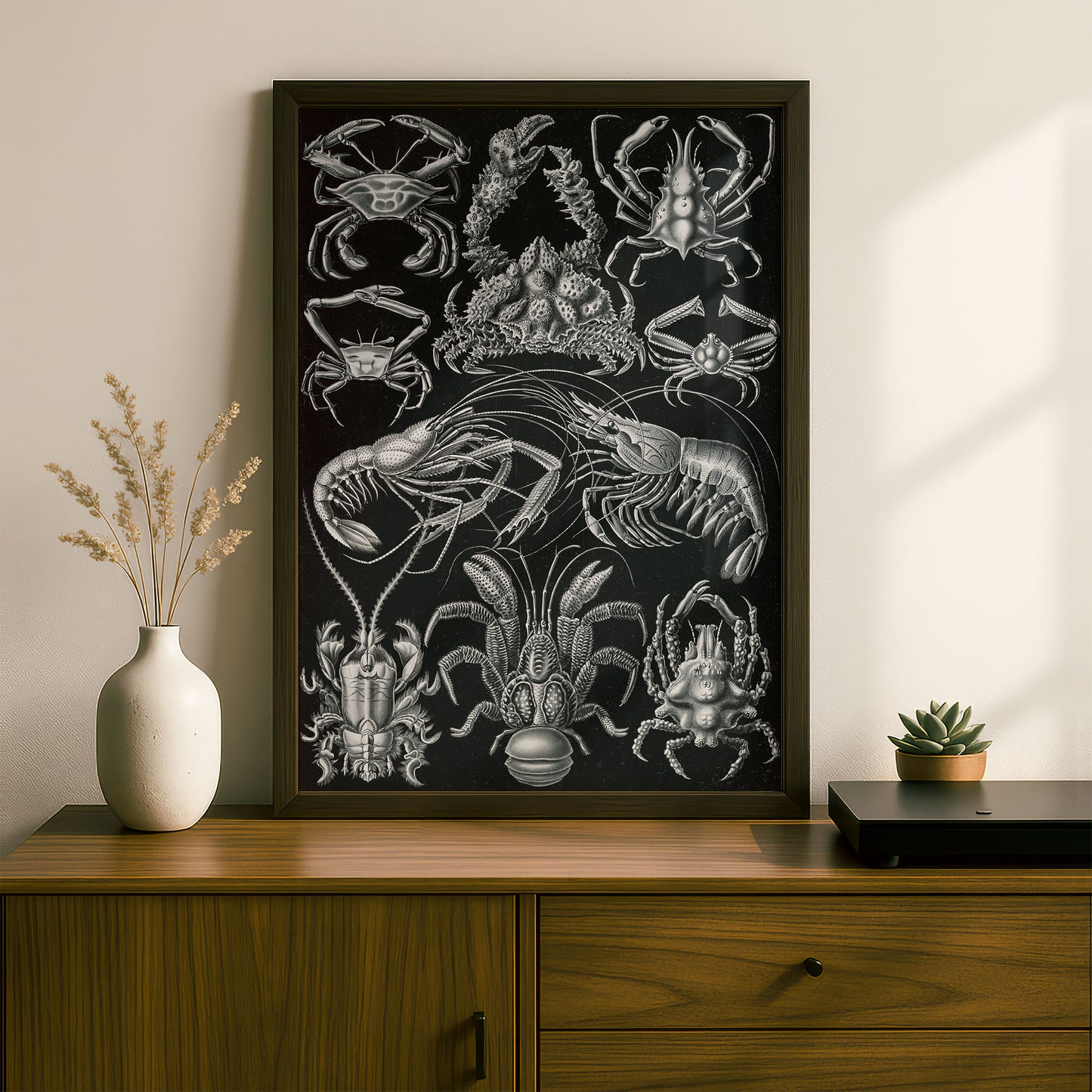Ernst Haeckel Art Print | Plate 86: Parthenope | Vintage Wall Art Poster