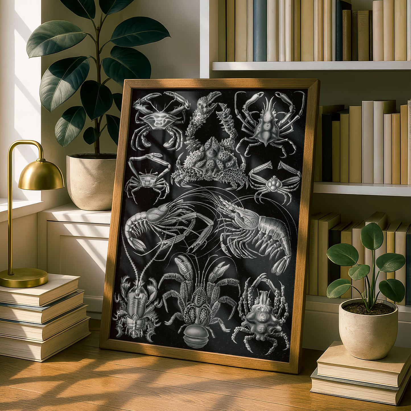 Ernst Haeckel Art Print | Plate 86: Parthenope | Vintage Wall Art Poster