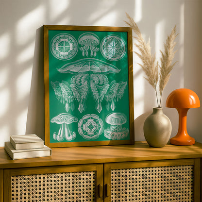 Ernst Haeckel Art Print | Plate 88: Pilema | Quality Vintage Wall Art Poster