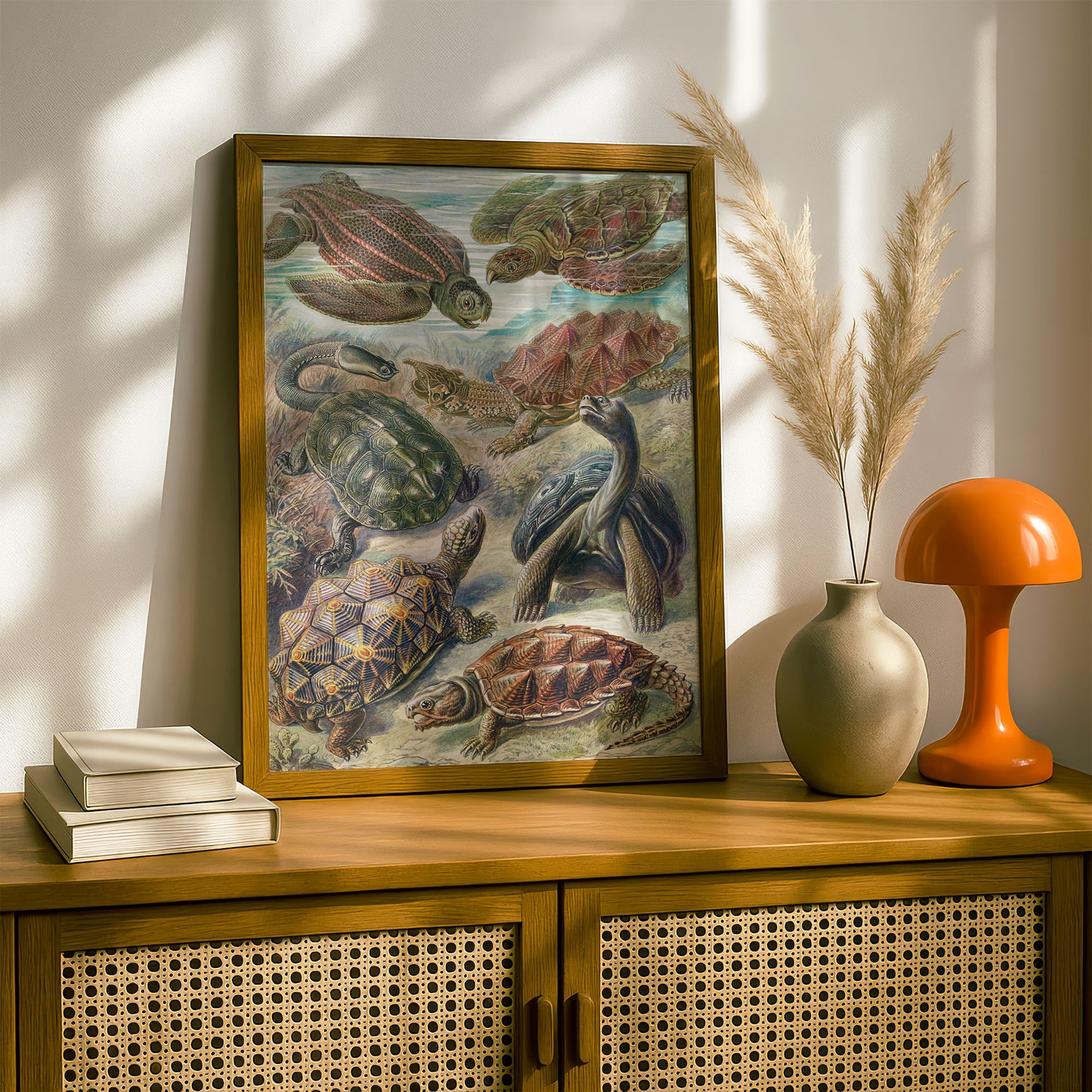 Ernst Haeckel Art Print | Plate 89: Testudo | Quality Vintage Wall Art Poster