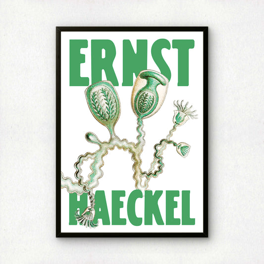 Ernst Haeckel Remixed Art Print 09 | Vintage Illustration | Modern Wall Art