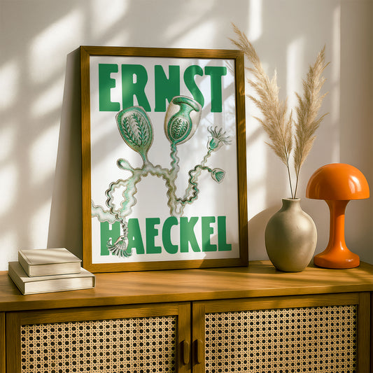 Ernst Haeckel Remixed Art Print 09 | Vintage Illustration | Modern Wall Art