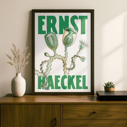 Ernst Haeckel Remixed Art Print 09 | Vintage Illustration | Modern Wall Art