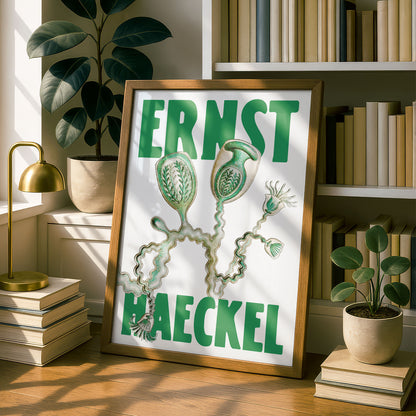 Ernst Haeckel Remixed Art Print 09 | Vintage Illustration | Modern Wall Art