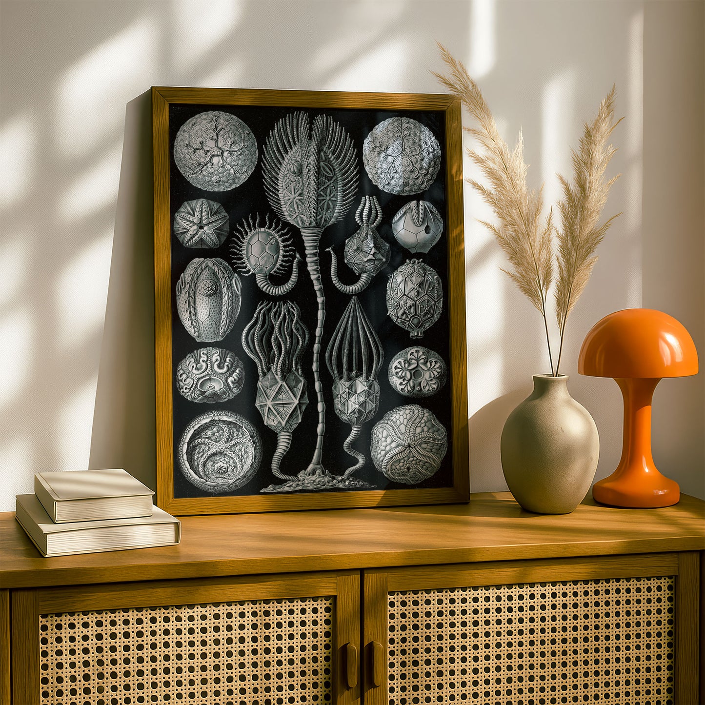 Ernst Haeckel Art Print | Plate 90: Callocystis | Vintage Wall Art Poster