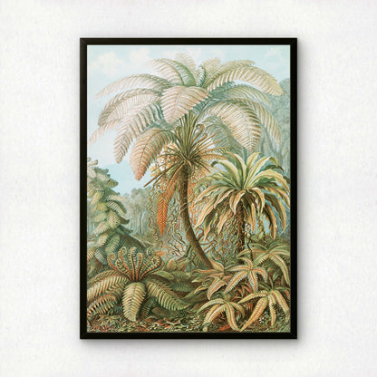 Ernst Haeckel Art Print | Plate 92: Alsophila | Vintage Wall Art Poster