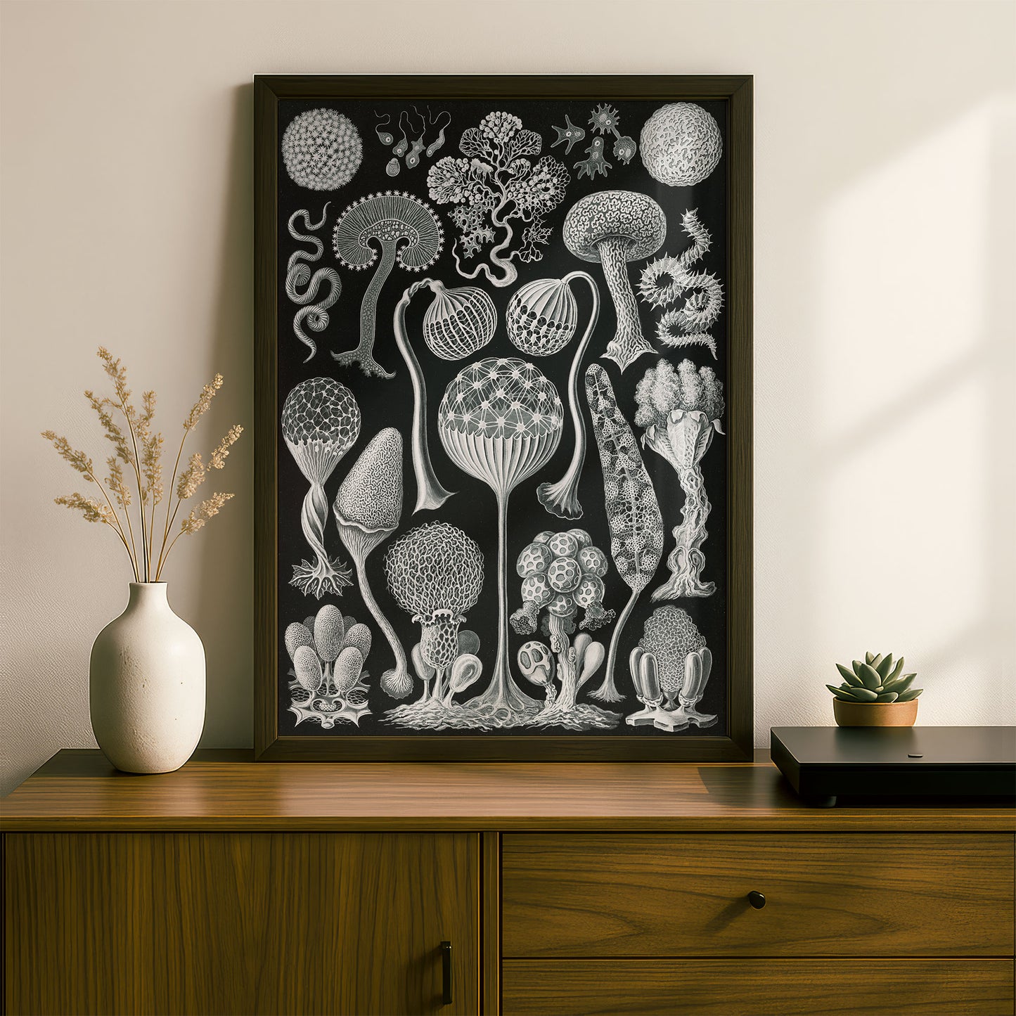 Ernst Haeckel Art Print | Plate 93: Arcyria | Quality Vintage Wall Art Poster