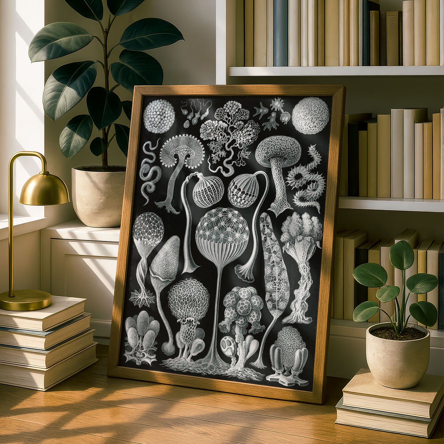 Ernst Haeckel Art Print | Plate 93: Arcyria | Quality Vintage Wall Art Poster