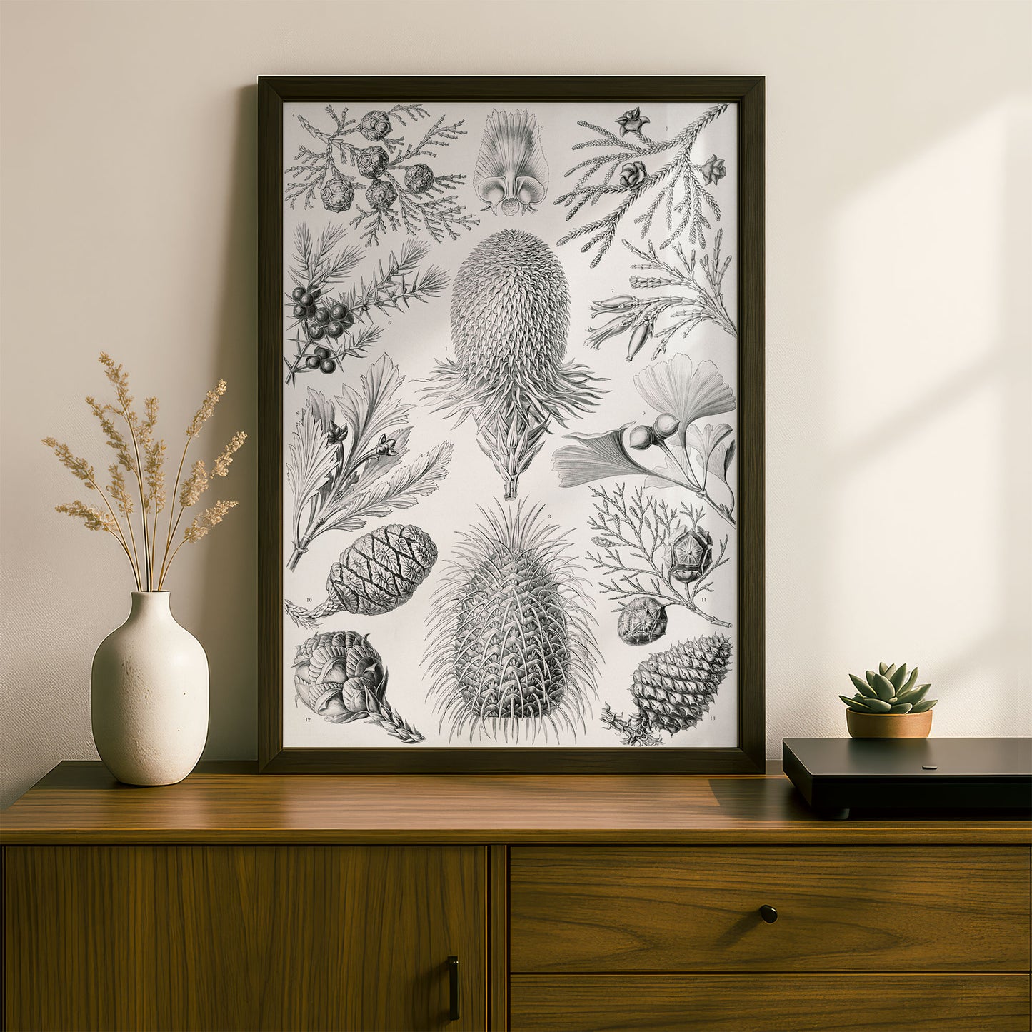 Ernst Haeckel Art Print | Plate 94: Araucaria | Vintage Wall Art Poster