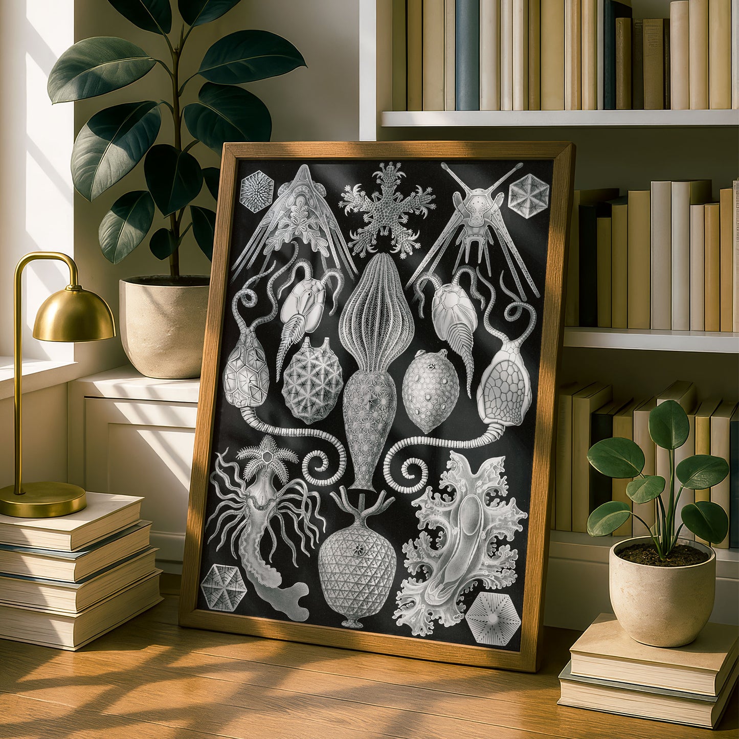 Ernst Haeckel Art Print | Plate 95: Placocystis | Vintage Wall Art Poster