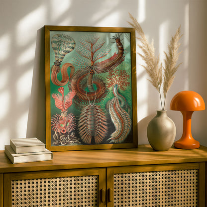 Ernst Haeckel Art Print | Plate 96: Sabella | Quality Vintage Wall Art Poster