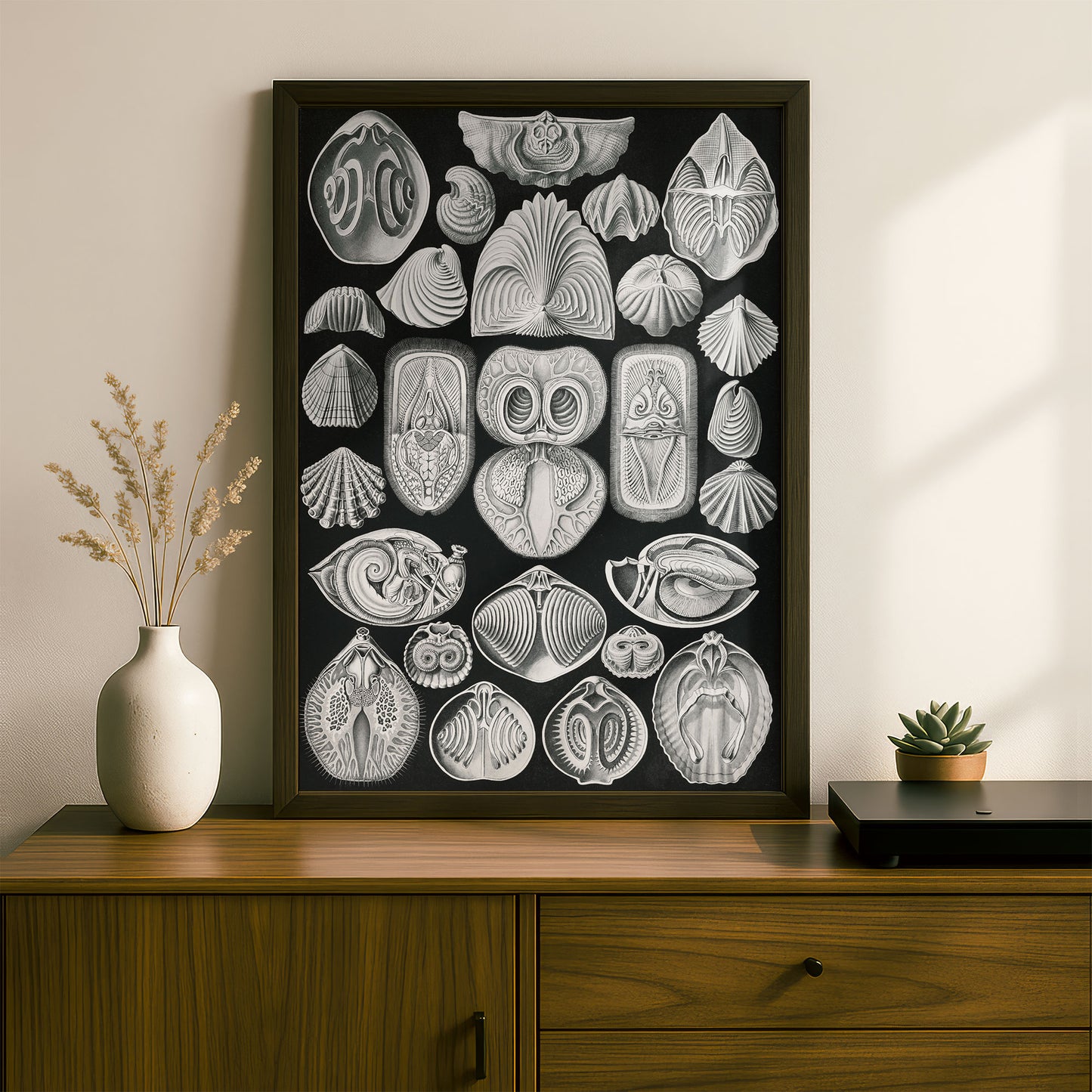 Ernst Haeckel Art Print | Plate 97: Terebratula | Vintage Wall Art Poster