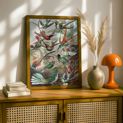 Ernst Haeckel Art Print | Plate 99: Trochilas | Vintage Wall Art Poster