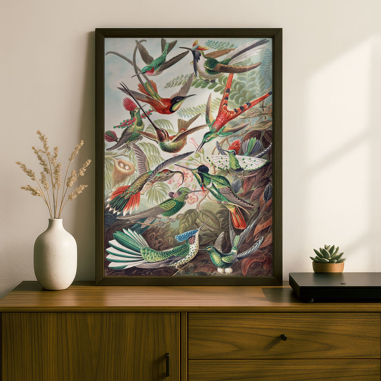 Ernst Haeckel Art Print | Plate 99: Trochilas | Vintage Wall Art Poster