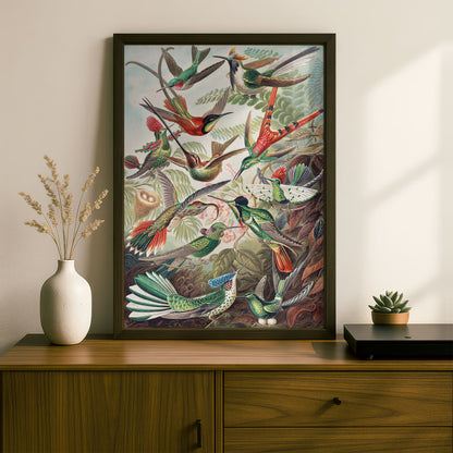 Ernst Haeckel Art Print | Plate 99: Trochilas | Vintage Wall Art Poster