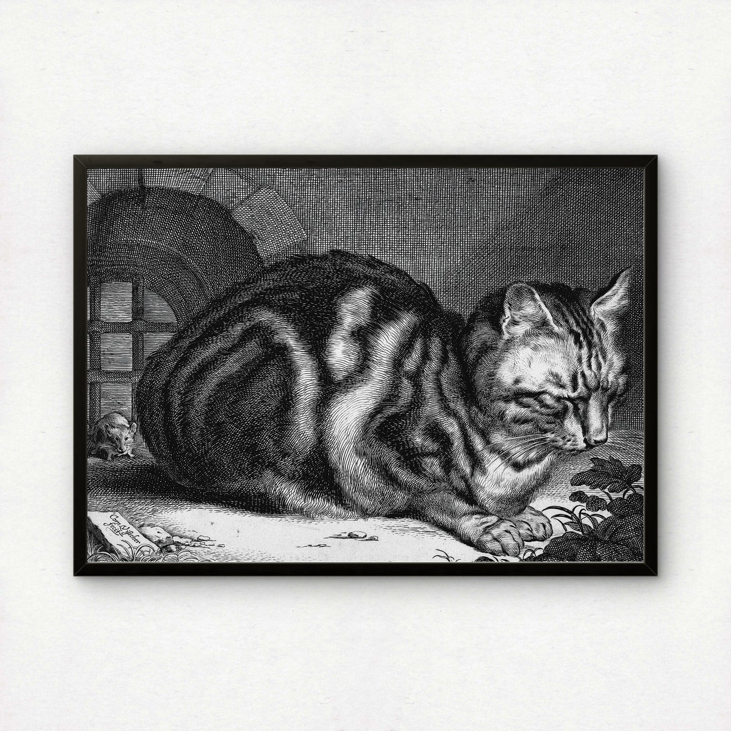 The Large Cat - An Engraving | Cornelis Visscher | Fine Art Cat Print | Cat Lover Gift | Wall Art