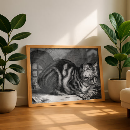 The Large Cat - An Engraving | Cornelis Visscher | Fine Art Cat Print | Cat Lover Gift | Wall Art