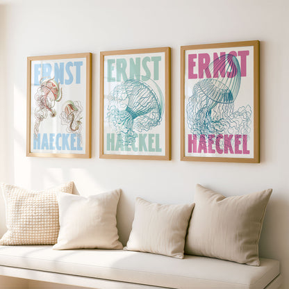 Ernst Haeckel Remixed Art Prints: Jellyfish 3 Pack | Premium Wall Art