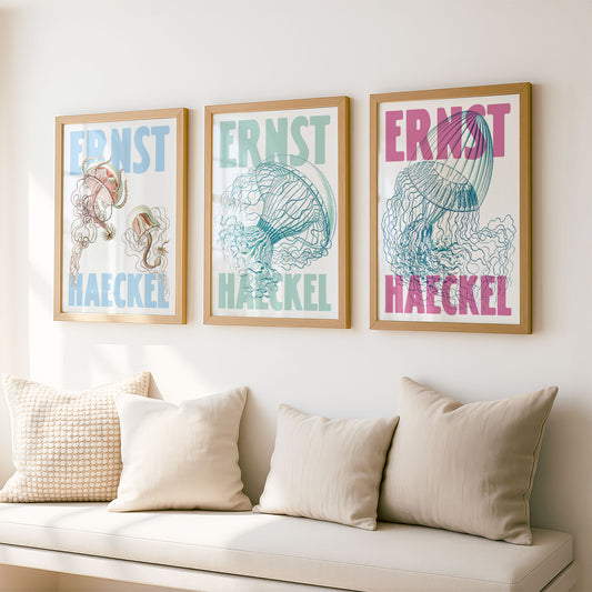 Ernst Haeckel Remixed Art Prints: Jellyfish 3 Pack | Premium Wall Art