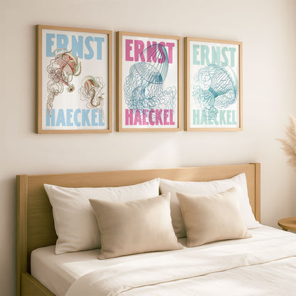 Ernst Haeckel Remixed Art Prints: Jellyfish 3 Pack | Premium Wall Art