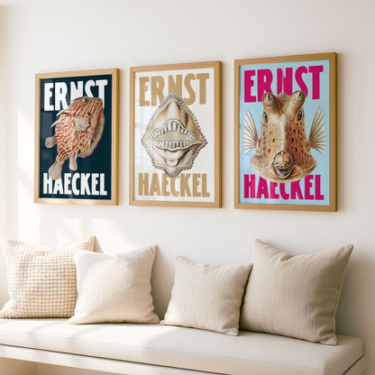 Ernst Haeckel Remixed Art Prints: Fish 3 Pack | Premium Wall Art