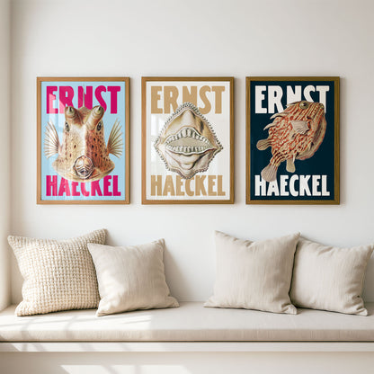Ernst Haeckel Remixed Art Prints: Fish 3 Pack | Premium Wall Art