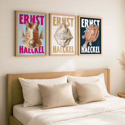 Ernst Haeckel Remixed Art Prints: Fish 3 Pack | Premium Wall Art