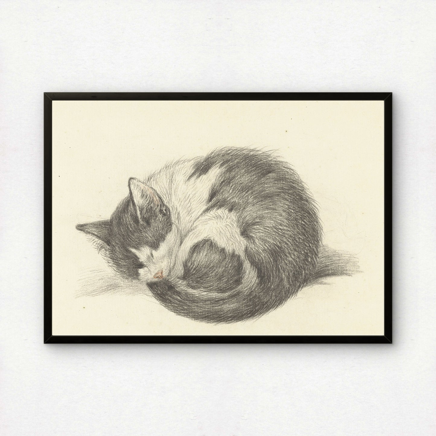 Curled-Up Sleeping Cat | Jean Bernard | Fine Art Cat Print | Cat Lover Gift | Wall Art