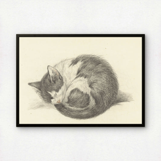 Curled-Up Sleeping Cat | Jean Bernard | Fine Art Cat Print | Cat Lover Gift | Wall Art