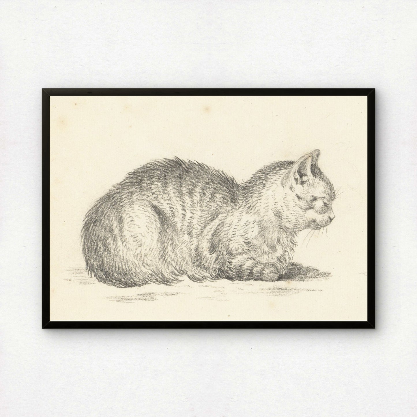 Loaf Cat, Facing Right (From Five Studies of Cats) | Jean Bernard | Fine Art Cat Print | Cat Lover Gift | Wall Art