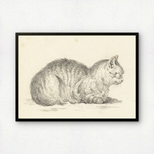 Loaf Cat, Facing Right (From Five Studies of Cats) | Jean Bernard | Fine Art Cat Print | Cat Lover Gift | Wall Art