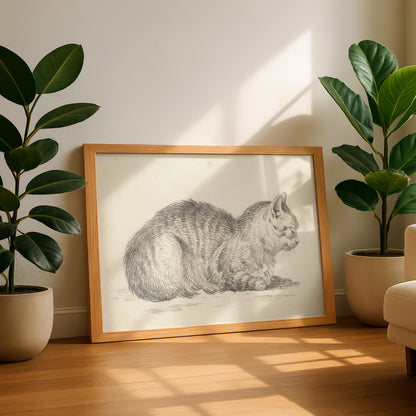 Loaf Cat, Facing Right (From Five Studies of Cats) | Jean Bernard | Fine Art Cat Print | Cat Lover Gift | Wall Art