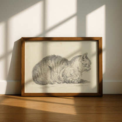 Loaf Cat, Facing Right (From Five Studies of Cats) | Jean Bernard | Fine Art Cat Print | Cat Lover Gift | Wall Art