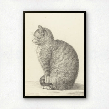 Sitting Cat, Facing Left | Jean Bernard | Fine Art Cat Print | Cat Lover Gift | Wall Art