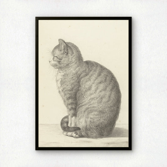 Sitting Cat, Facing Left | Jean Bernard | Fine Art Cat Print | Cat Lover Gift | Wall Art