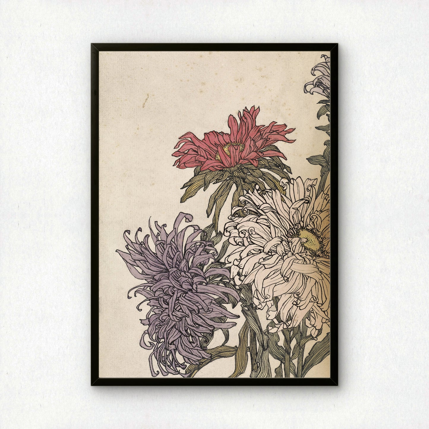Julie de Graag Chrysanthemums Art Print | Fine Art Print