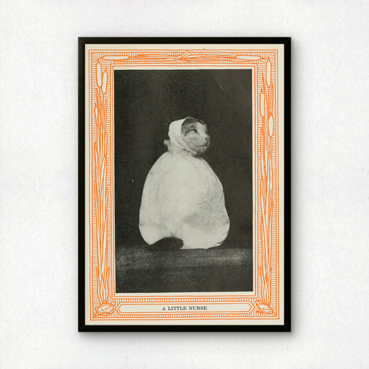 Funny Victorian Cat Art Print | 'A Little Nurse' | Vintage Cat Meme Wall Art | Cat Lover Gift