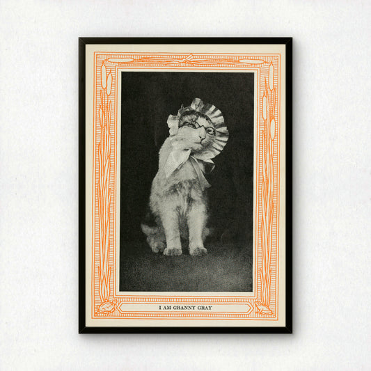 Funny Victorian Cat Art Print | 'I am Granny Gray' | Vintage Cat Meme Wall Art | Cat Lover Gift
